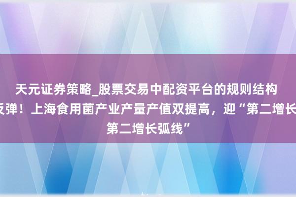 天元证券策略_股票交易中配资平台的规则结构 触底反弹！上海食用菌产业产量产值双提高，迎“第二增长弧线”