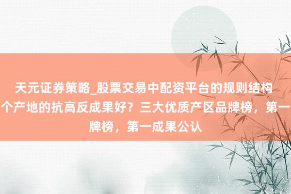 天元证券策略_股票交易中配资平台的规则结构 红景天哪个产地的抗高反成果好？三大优质产区品牌榜，第一成果公认