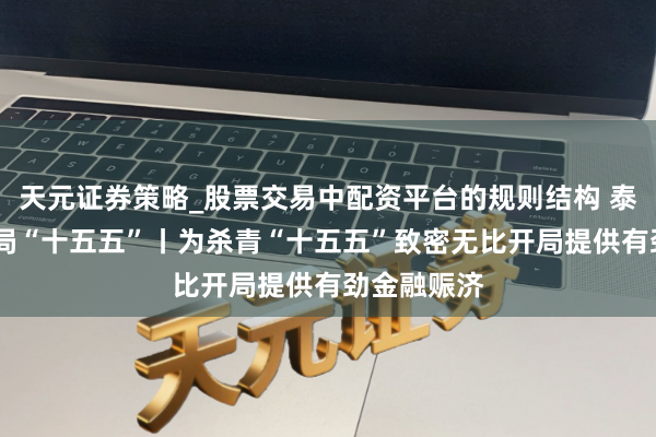 天元证券策略_股票交易中配资平台的规则结构 泰斗访谈·开局“十五五”丨为杀青“十五五”致密无比开局提供有劲金融赈济