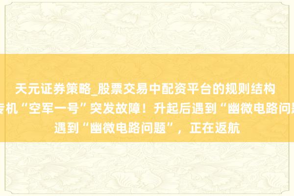天元证券策略_股票交易中配资平台的规则结构 好意思国总统专机“空军一号”突发故障！升起后遇到“幽微电路问题”，正在返航